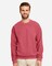Gildan Heavy Blend Long Sleeve Crewneck Sweatshirt for Everyday Wear & Winter Outfits